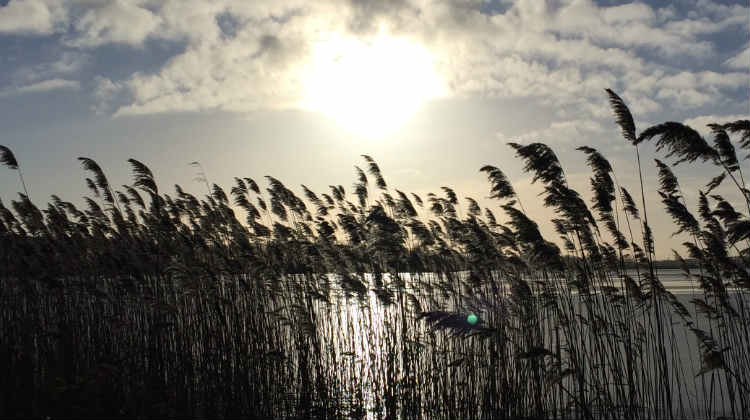 Hvad er mindfulness? Det kan du læse om i artiklen her.