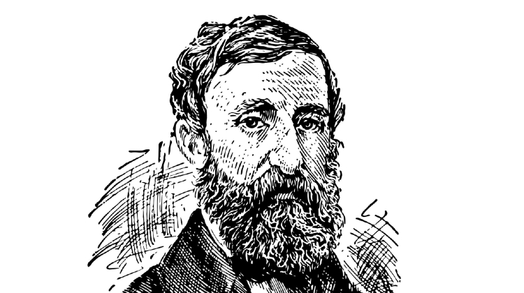 Citater af Henry David Thoreau